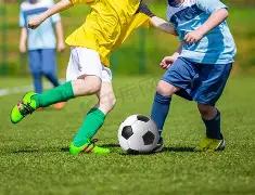 葡媒,波尔图致敬,若塔,万博体育平台,万博体育官方网站,万博体育登录入口,万博体育app下载