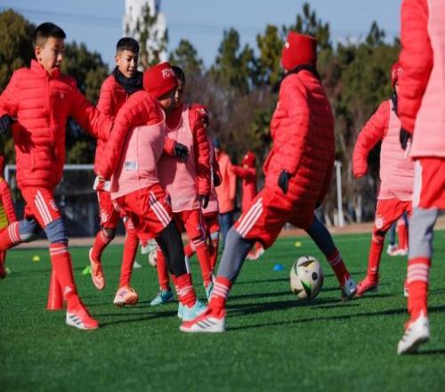 山东高速在,常规赛力克,广州朗肽海,万博体育平台,万博体育官方网站,万博体育登录入口,万博体育app下载