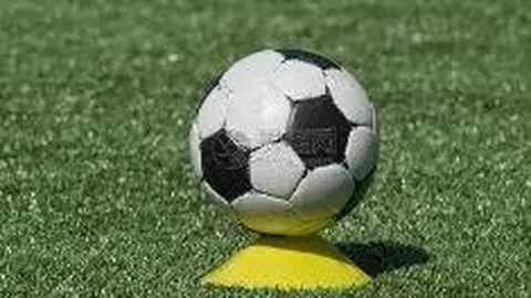 万博体育 资讯 142204 ks1